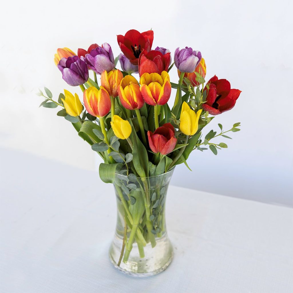 20 Tulips Delivered in San Diego Four Seasons Flowers