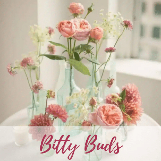 Bitty Bud Club Subscription