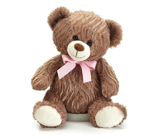 Brown Teddy Bear