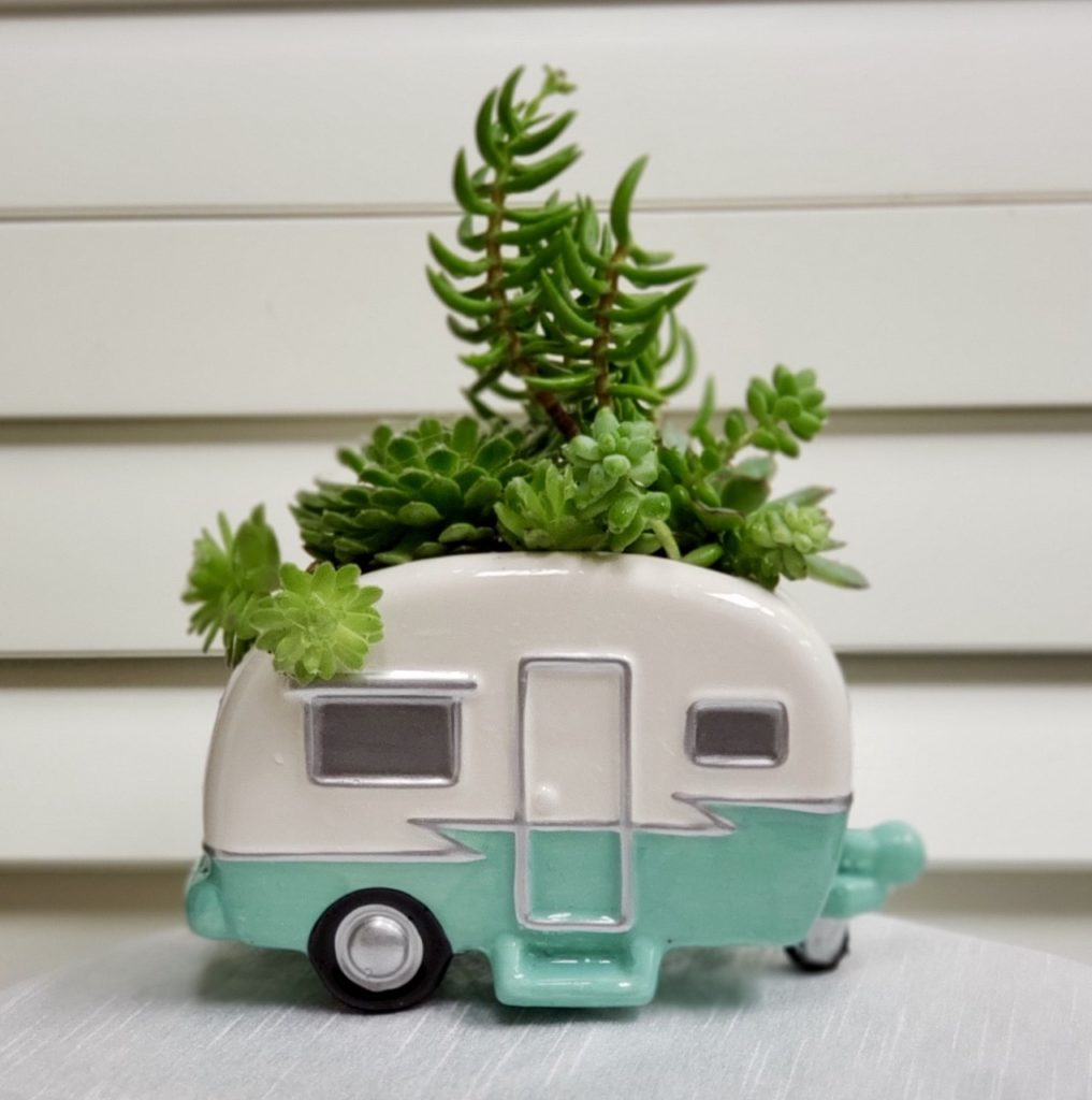 Ceramic camper and succulent cheapest